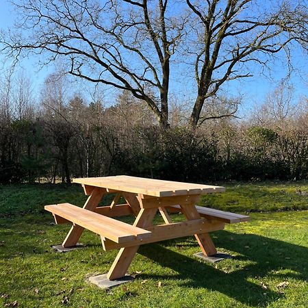 Vakantiehuis Eikzicht Gelegen Aan Het Bos Elsloo  Εξωτερικό φωτογραφία