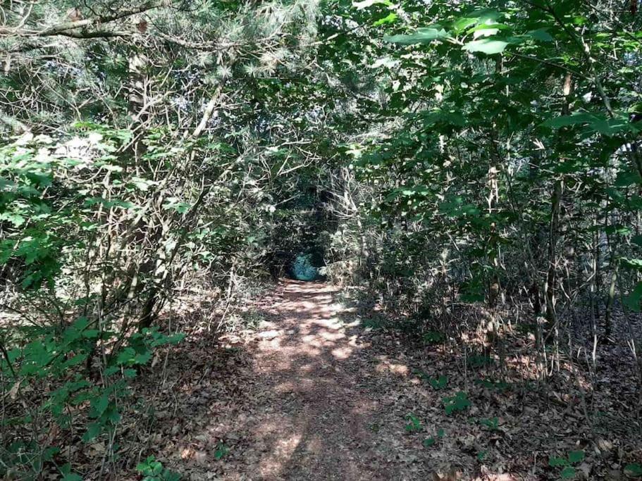 Vakantiehuis Eikzicht Gelegen Aan Het Bos Elsloo  Εξωτερικό φωτογραφία