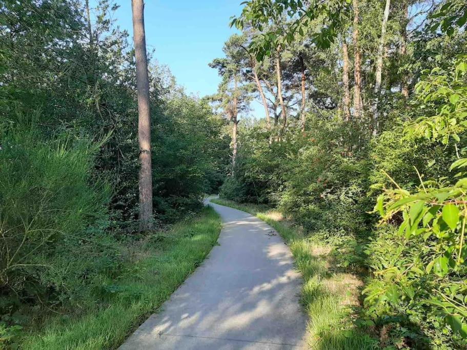 Vakantiehuis Eikzicht Gelegen Aan Het Bos Elsloo  Εξωτερικό φωτογραφία