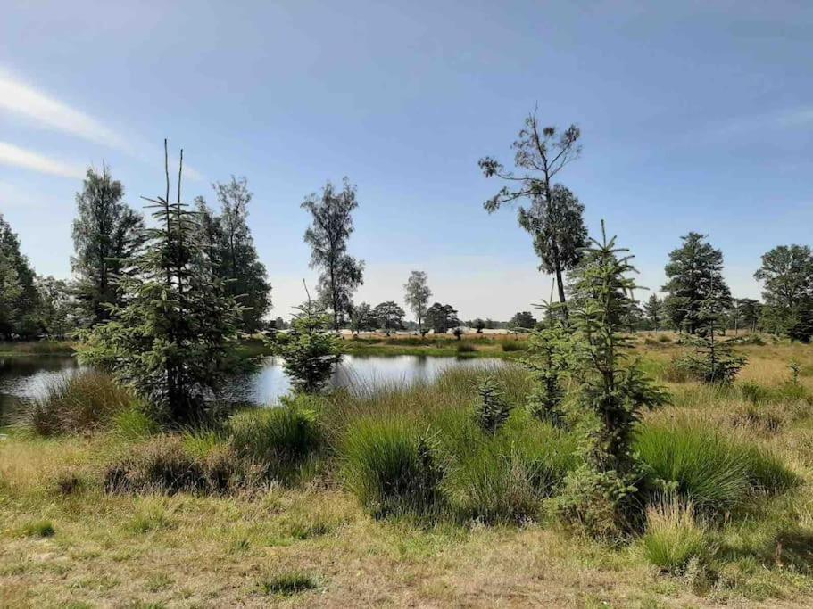 Vakantiehuis Eikzicht Gelegen Aan Het Bos Elsloo  Εξωτερικό φωτογραφία