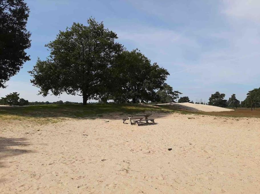 Vakantiehuis Eikzicht Gelegen Aan Het Bos Elsloo  Εξωτερικό φωτογραφία