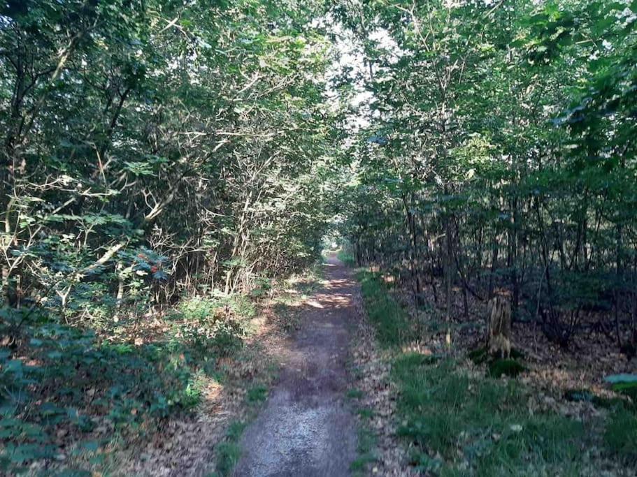 Vakantiehuis Eikzicht Gelegen Aan Het Bos Elsloo  Εξωτερικό φωτογραφία