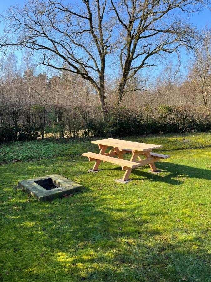 Vakantiehuis Eikzicht Gelegen Aan Het Bos Elsloo  Εξωτερικό φωτογραφία